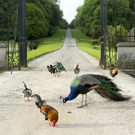 Chateau De Pont-rilly