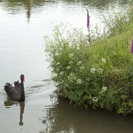 Chateau De Pont-rilly 3* Négreville