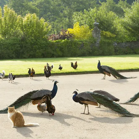 Chateau De Pont-rilly Casa de hóspedes 3*