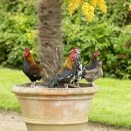 Chateau De Pont-rilly 3* Négreville