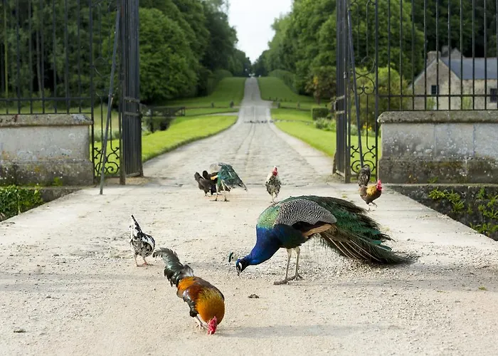 Chateau De Pont-rilly