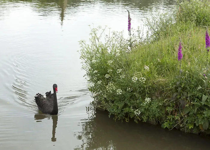 Chateau De Pont-rilly 3* Négreville