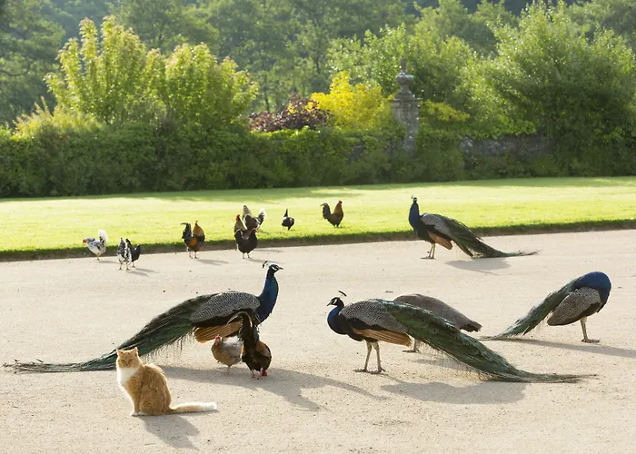 Chateau De Pont-rilly Maison d'hôtes 3*