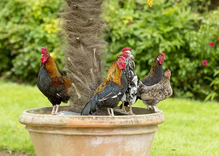 Chateau De Pont-rilly 3* Négreville