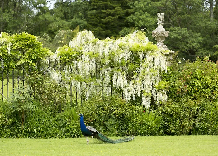 Maison d'hôtes Chateau De Pont-rilly